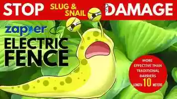 Free download Environmental Factor - E73 FAQ Videos: Zaper Electric Fence [In Action] - Stop Slug  Snail Damage.mp4 video and edit with RedcoolMedia movie maker MovieStudio video editor online and AudioStudio audio editor onlin